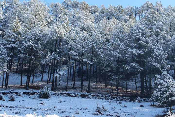 Chaukhamba View Point
