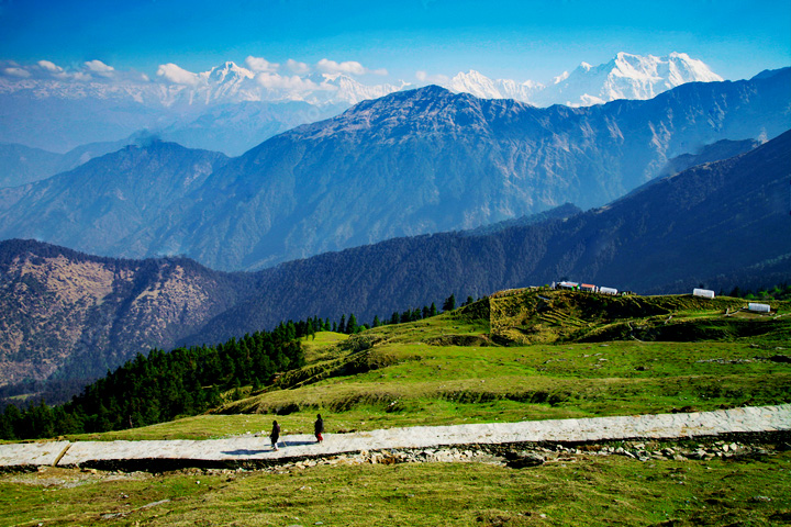 Chopta Valley