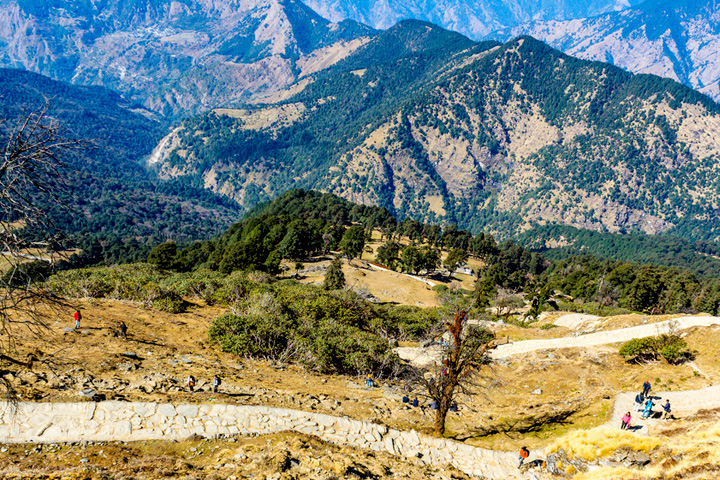 Chopta Valley
