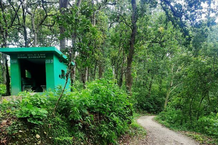 Simbalbara National Park (Colonel Sher Jung National Park)