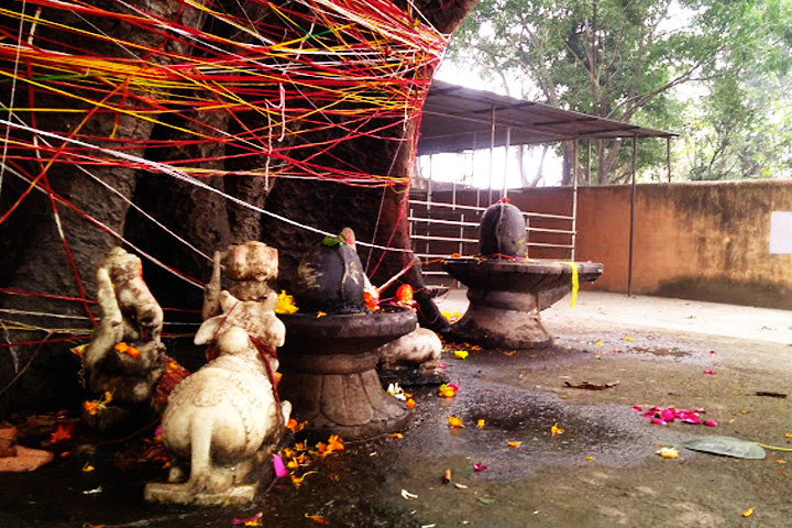 Daksh Mahadev - Daksh Prajapati Temple