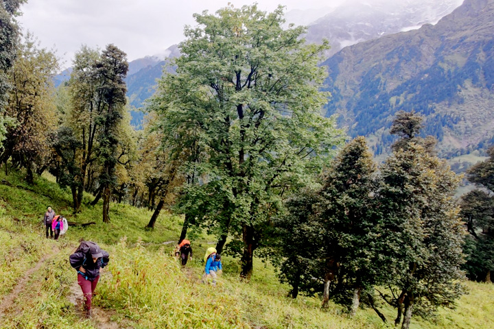 Deo Tibba Trek
