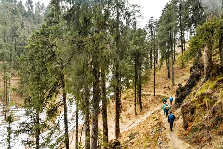 Deoban Forest Trek