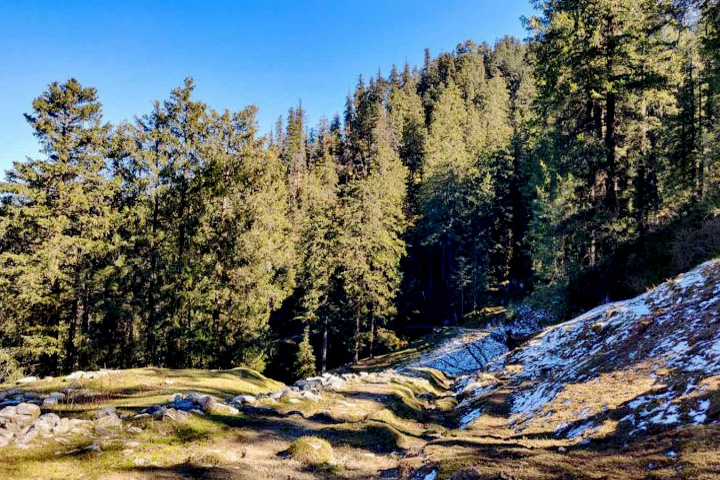 Deoban Forest Trek
