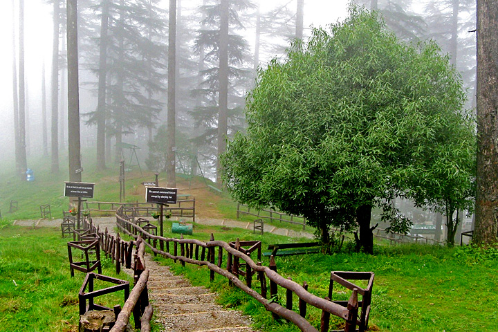 Dhanaulti Eco Park