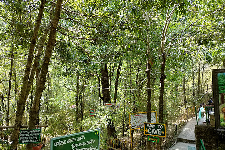 Eco Cave Gardens (Park)