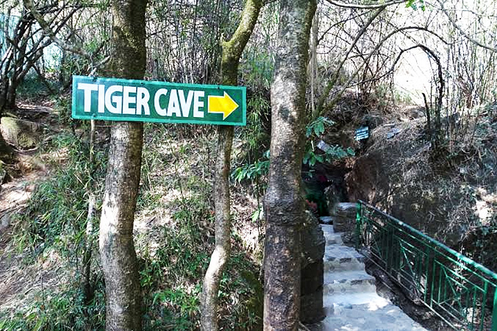 Eco Cave Gardens (Park)