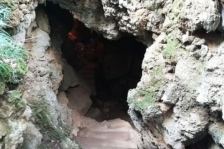 Eco Cave Gardens (Park)