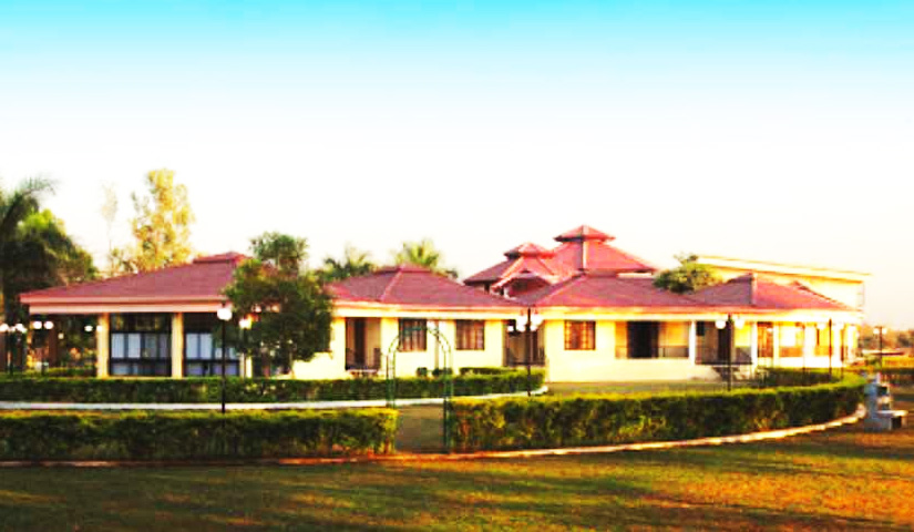 Elvis Butterfly Garden