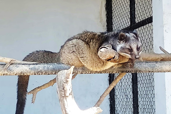 G B Pant High Altitude Zoo