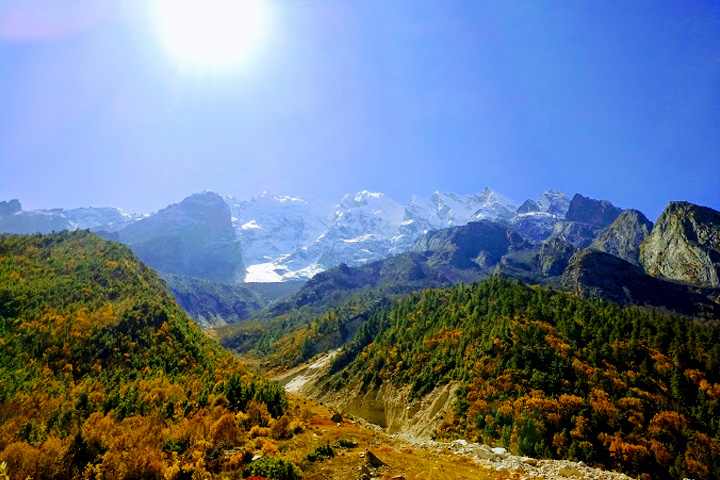 Gangotri National Park