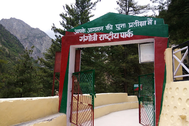 Gangotri National Park