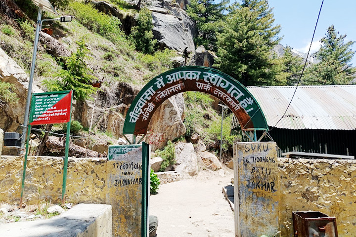 Gangotri National Park