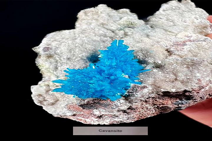 Geology and Geophysics Museum