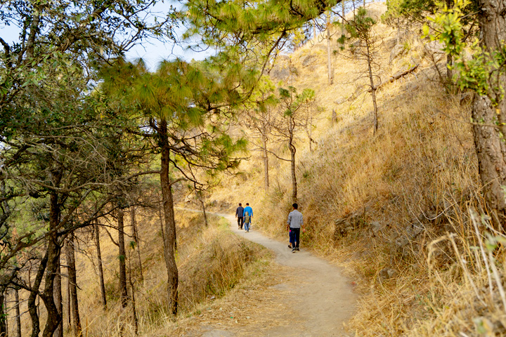 Gilbert Nature Trail