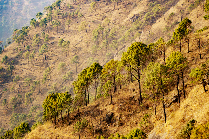 Gilbert Nature Trail