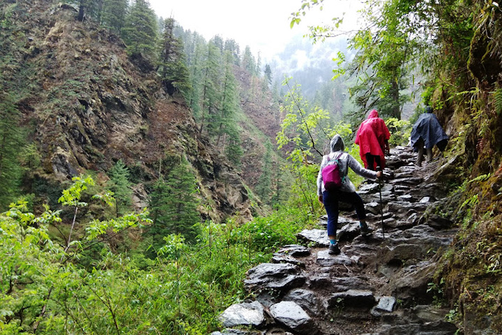 Govind Pashu Vihar National Park