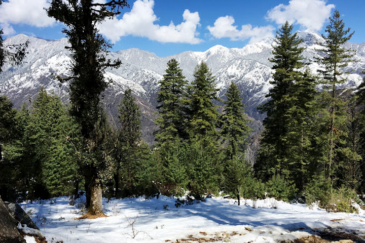 Govind Pashu Vihar National Park