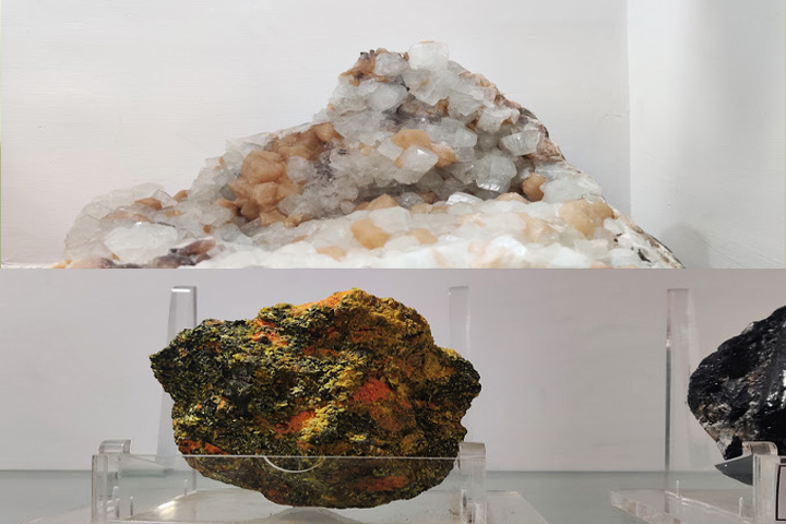 Henry Benedict Medlicott Museum