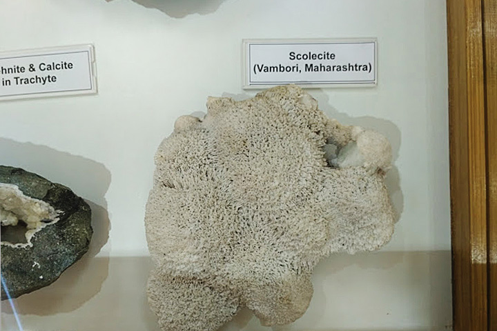 Henry Benedict Medlicott Museum