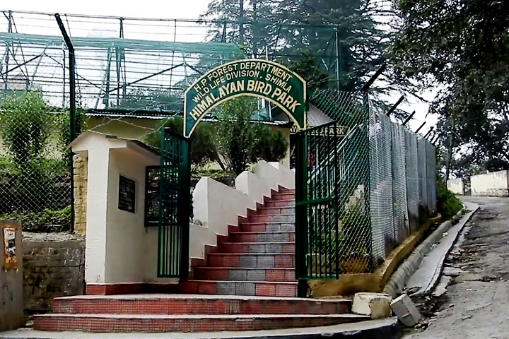 Himalayan Bird Park