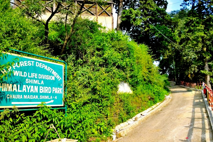 Himalayan Bird Park