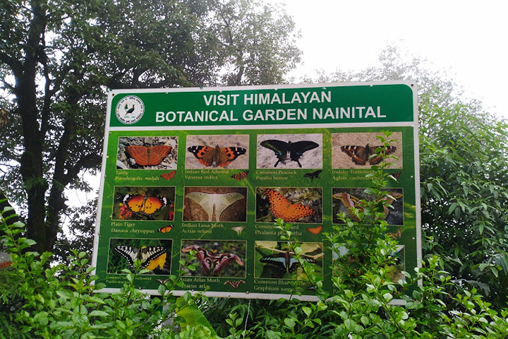 Himalayan Botanical Garden