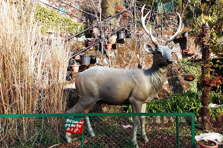 Himalayan Botanical Garden