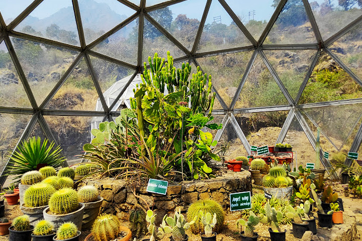 Himalayan Botanical Garden