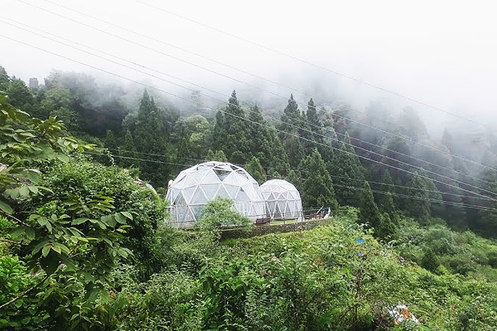 Himalayan Botanical Garden