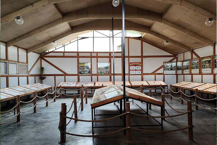 Himalayan Botanical Garden