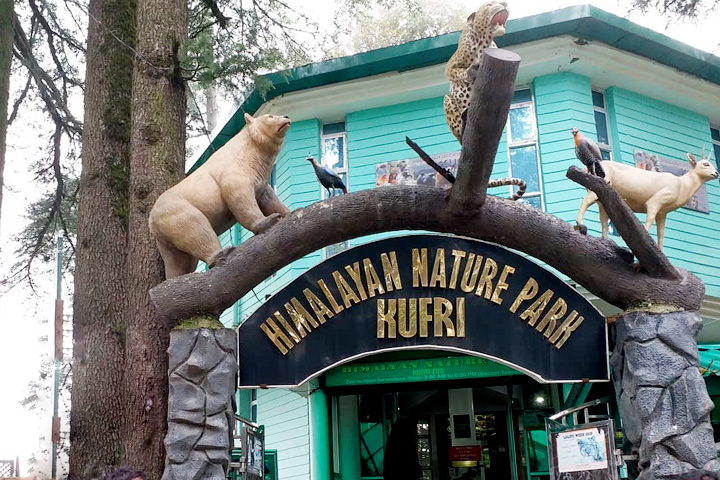 Himalayan Nature Park (Kufri Zoo)