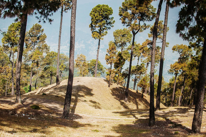 Hippie Hill (Cranks Ridge)