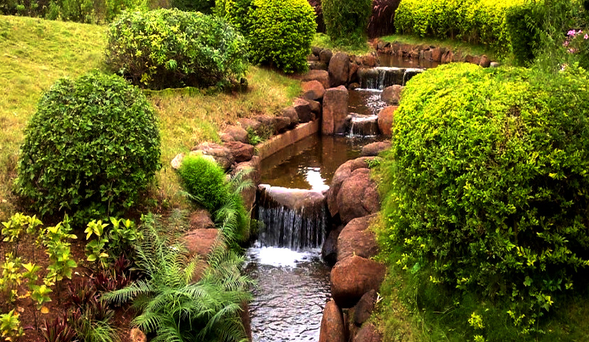 Japanese Garden Goa