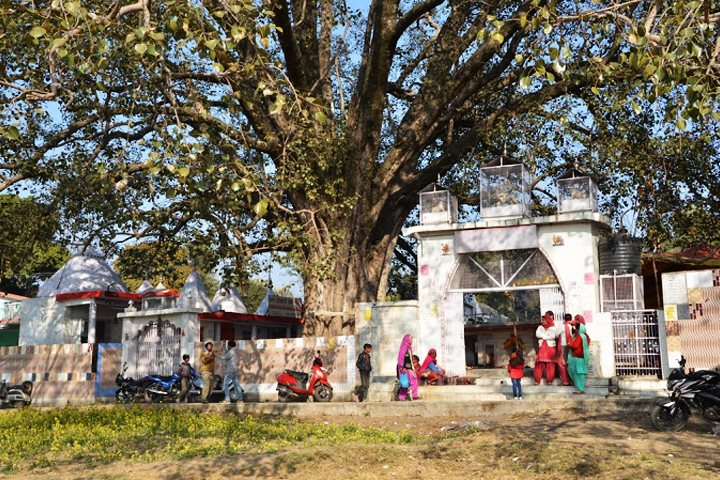Jhanyari Devi Temple