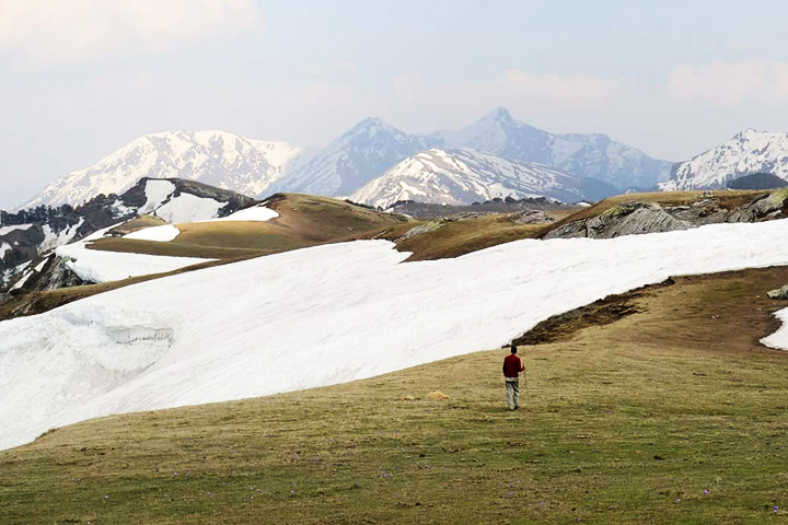 Jibhi - Lambri Top Trek