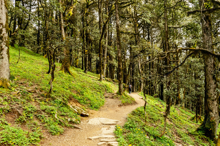 Jibhi - Serolsar Lake Trek