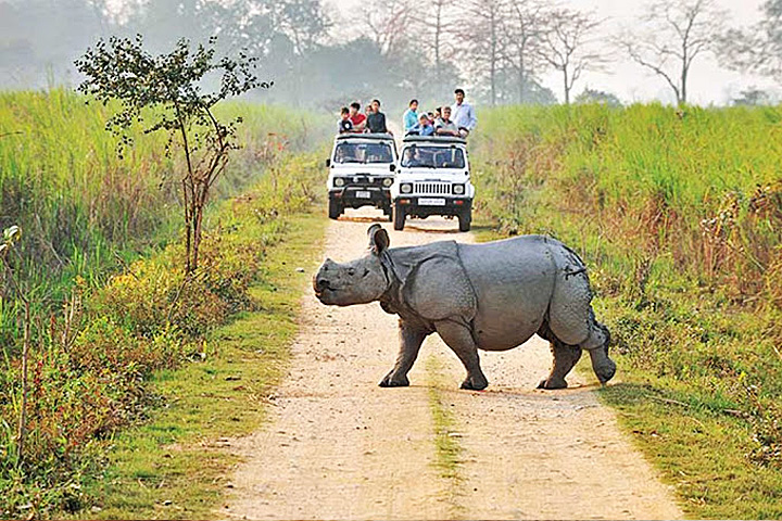 Jim Corbett National Park