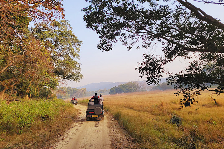 Jim Corbett National Park