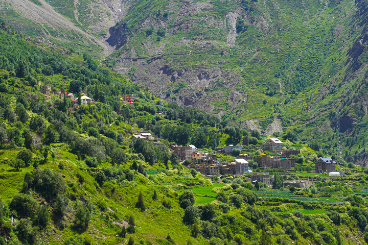 Jispa Village