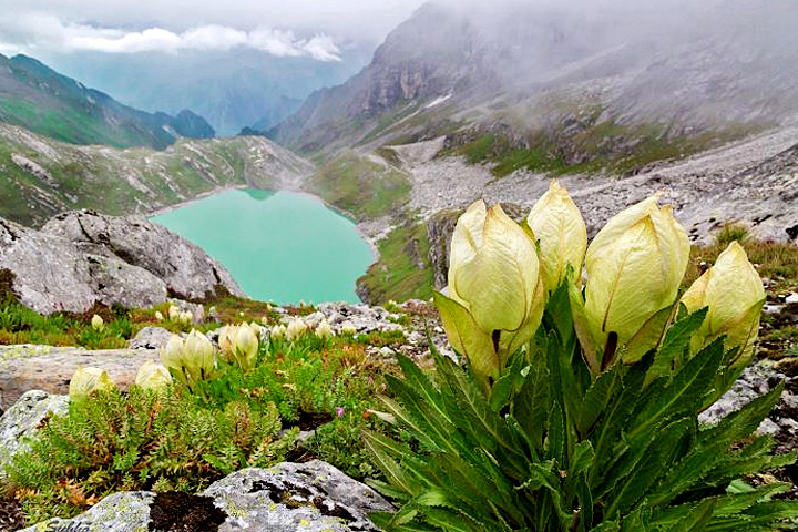 Kagbhusandi Lake Trek