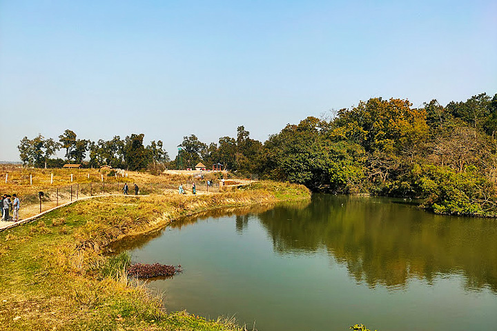 Kakra Crocodile Park