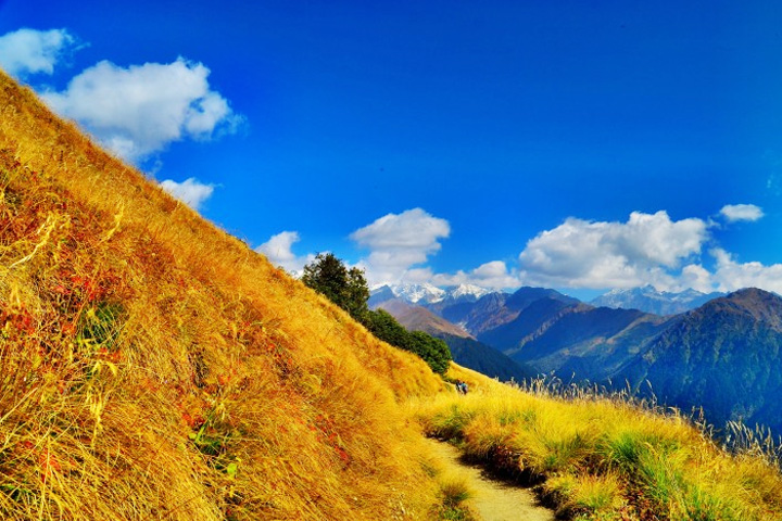 Kalpeshwar Rudranath Temple Trek