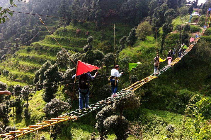 Kanatal Orchids Camp