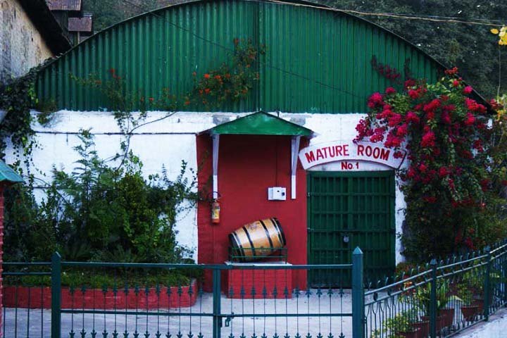 Kasauli Brewery and Distillery