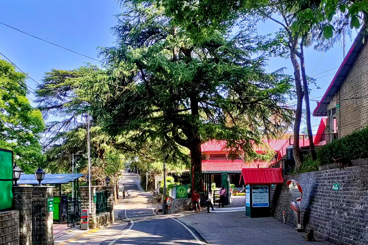 Kasauli Club