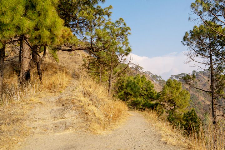 Kasauli Sunrise Point