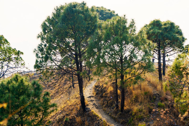 Kasauli Sunset Point