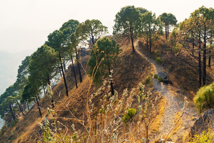 Kasauli Sunset Point