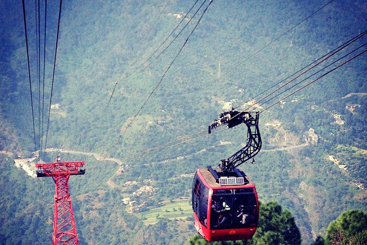 Kasauli Timber Trail